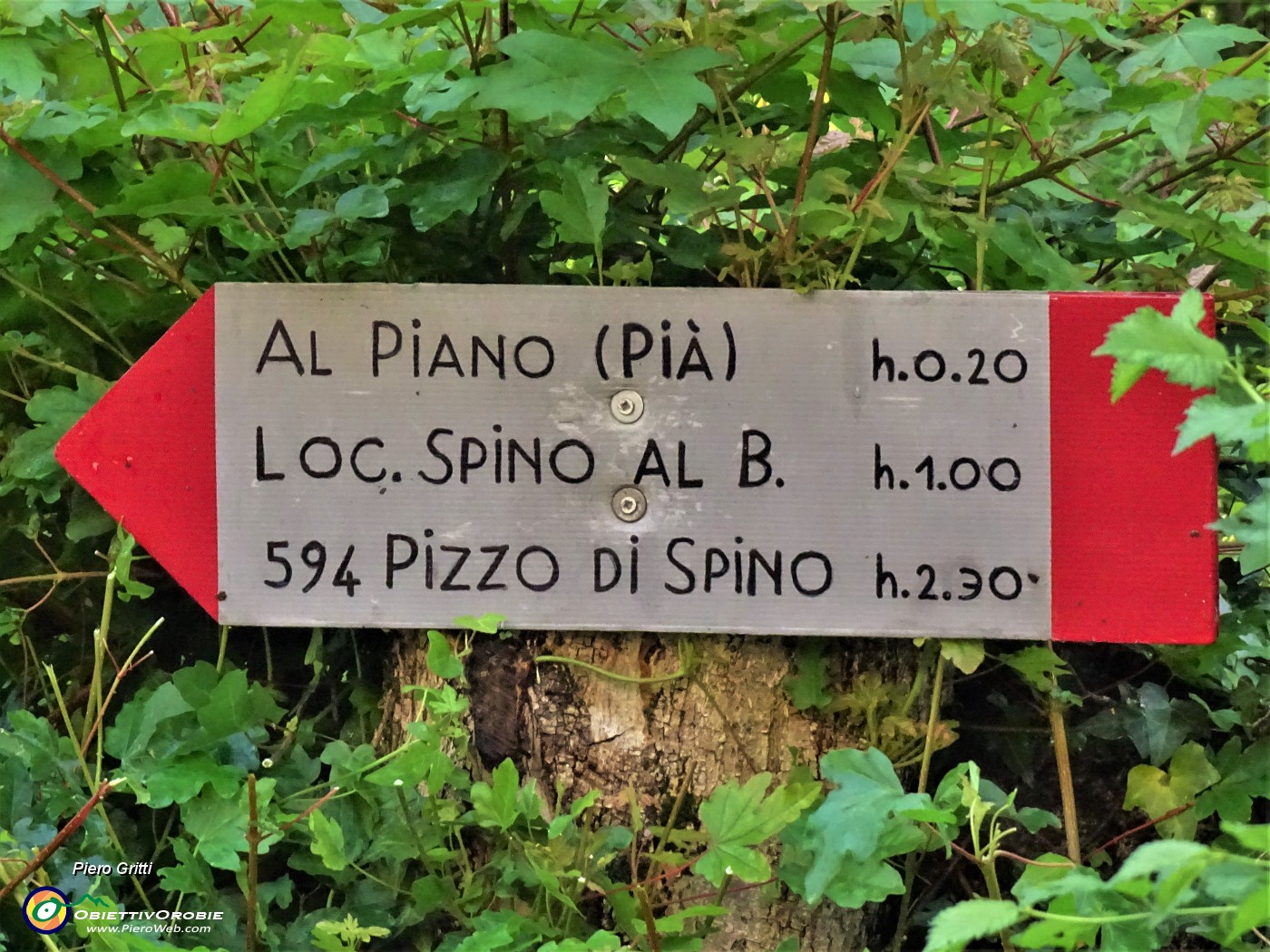 56 Indicazioni del sent. 594.JPG